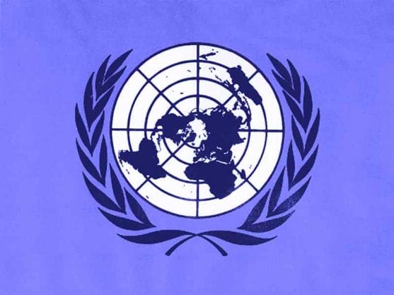 Organizatia Natiunilor Unite, principala organizatie internationala
