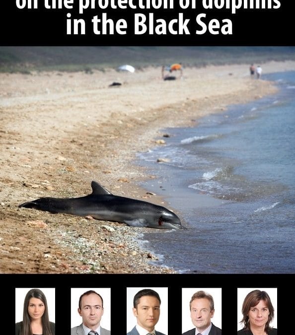 Europarlamentarii conlucreaza pentru salvarea delfinilor din Marea Neagra